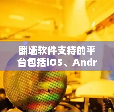 翻墙软件支持的平台包括iOS、Android、MacOS、Linux以及Web端。以下是对这些平台和常见翻墙软件的详细说明