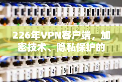 226年VPN客户端,加密技术、隐私保护的终极挑战与解决方案 226年VPN客户端,加密技术、隐私保护的终极挑战与解决方案