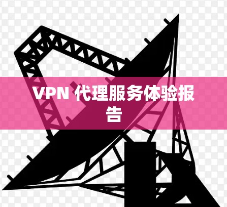 VPN 代理服务体验报告