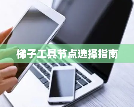 梯子工具节点选择指南 梯子工具节点选择指南