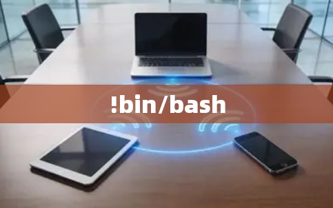 !bin/bash