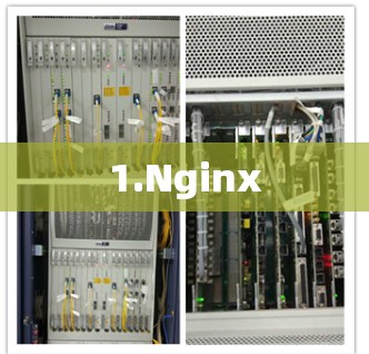 1.Nginx 1.Nginx