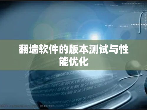 翻墙软件的版本测试与性能优化