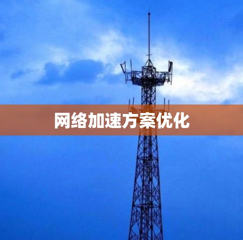 网络加速方案优化