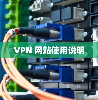 VPN 网站使用说明