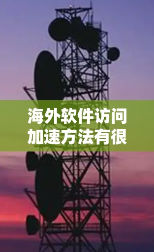 海外软件访问加速方法有很多种，可以在网络连接、软件运行时以及服务器配置等方面进行优化。以下是一些常用的海外软件访问加速方法及其优缺点