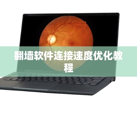 翻墙软件连接速度优化教程
