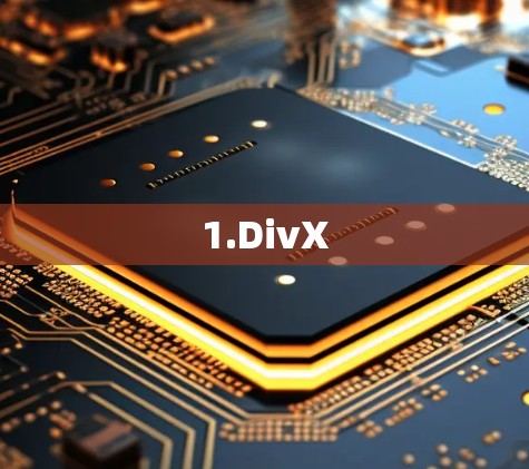 1.DivX