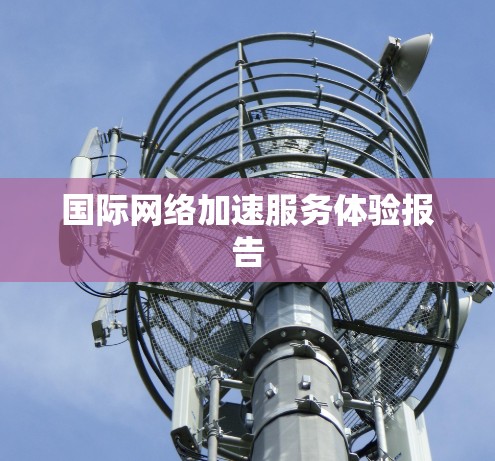 国际网络加速服务体验报告