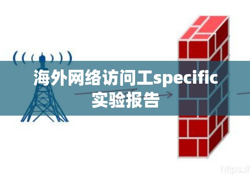 海外网络访问工specific实验报告
