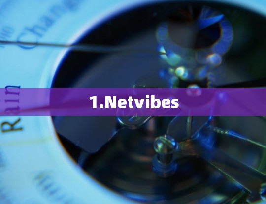 1.Netvibes