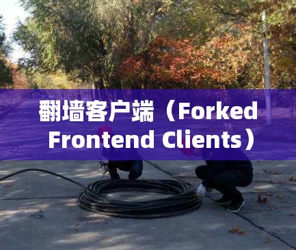 翻墙客户端(Forked Frontend Clients)是一种用于访问互联网不同端口的工具。它通过创建一个独立的用户界面来实现,通常用于测试或模拟特定网络配置。以下是翻墙客户端的使用说明 翻墙客户端(Forked Frontend Clients)是一种用于访问互联网不同端口的工具。它通过创建一个独立的用户界面来实现,通常用于测试或模拟特定网络配置。以下是翻墙客户端的使用说明