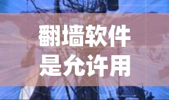 翻墙软件是允许用户在访问某些网站时将它们从外网转移到内网的工具。以下是一个系统化的教程，帮助您了解如何使用翻墙软件进行线路切换和速度提升