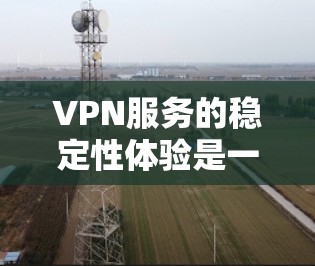 VPN服务的稳定性体验是一个重要的用户评分标准之一。以下是对 VPN 服务稳定性体验的分析