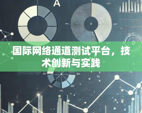 国际网络通道测试平台,技术创新与实践 国际网络通道测试平台,技术创新与实践