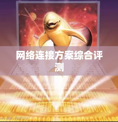 网络连接方案综合评测 网络连接方案综合评测