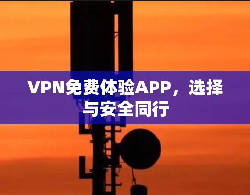 VPN免费体验APP，选择与安全同行