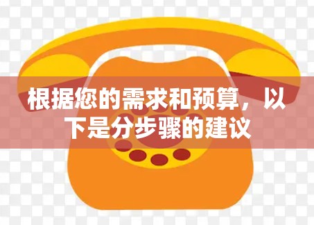 根据您的需求和预算，以下是分步骤的建议
