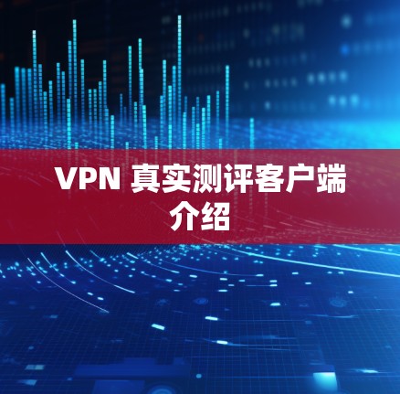 VPN 真实测评客户端介绍