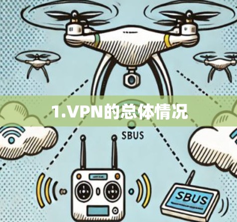 1.VPN的总体情况