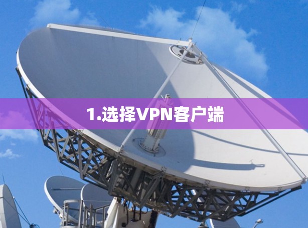 1.选择VPN客户端 1.选择VPN客户端