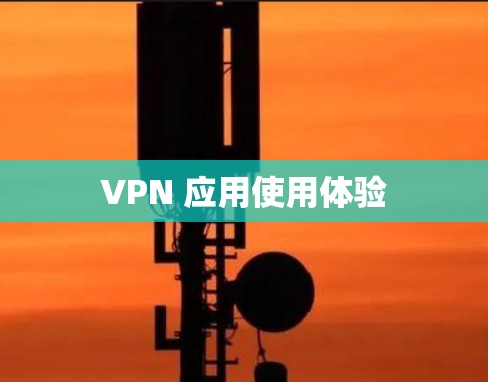 VPN 应用使用体验 VPN 应用使用体验