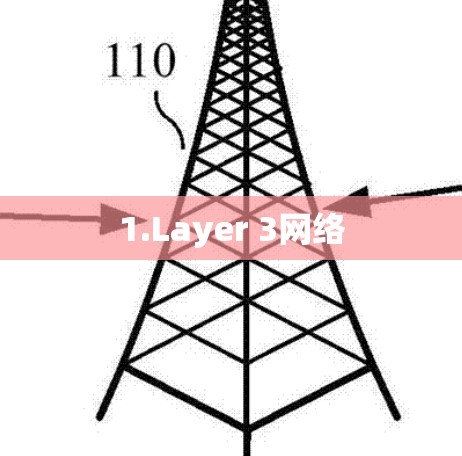 1.Layer 3网络