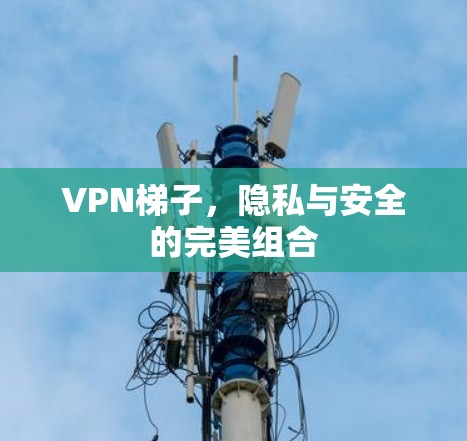 VPN梯子，隐私与安全的完美组合