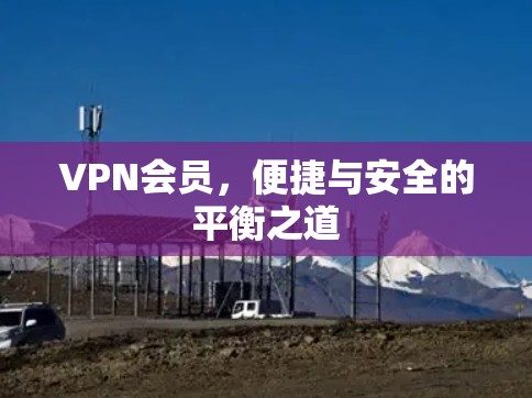 VPN会员，便捷与安全的平衡之道