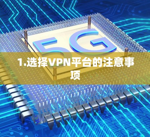 1.选择VPN平台的注意事项