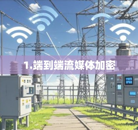 1.端到端流媒体加密