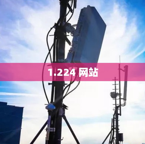 1.224 网站