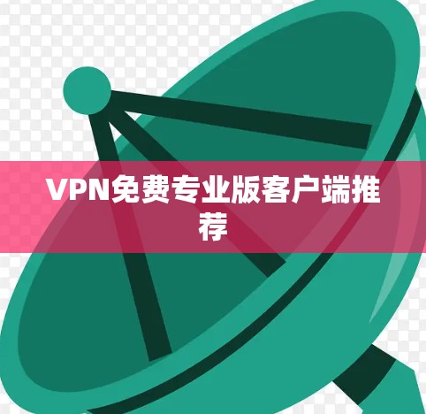 VPN免费专业版客户端推荐
