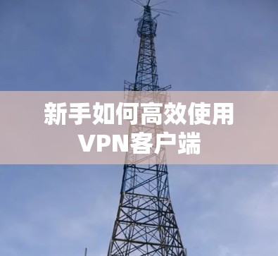 新手如何高效使用VPN客户端