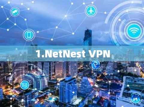 1.NetNest VPN