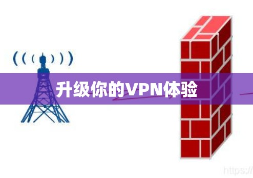 升级你的VPN体验