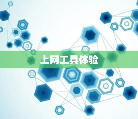 上网工具体验