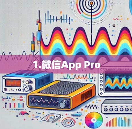 1.微信App Pro