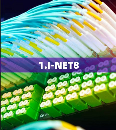 1.I-NET8