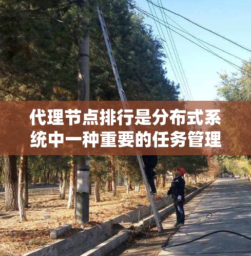 代理节点排行是分布式系统中一种重要的任务管理方式，用于协调和管理多个代理节点的协作任务。以下是一些常见的代理节点排行方法