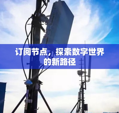 订阅节点，探索数字世界的新路径
