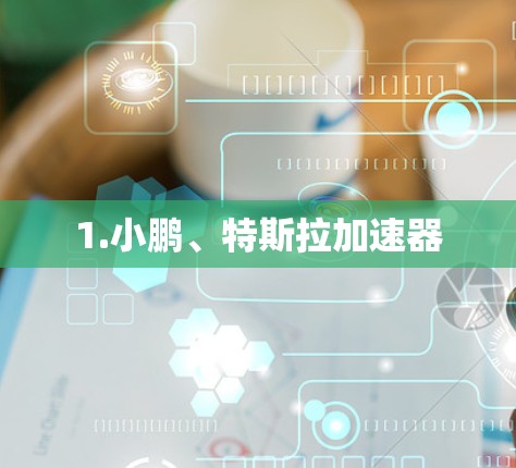 1.小鹏、特斯拉加速器