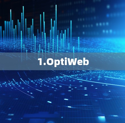 1.OptiWeb