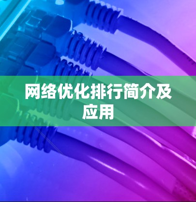 网络优化排行简介及应用