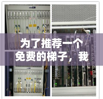 为了推荐一个免费的梯子，我们可以从以下几个方面考虑