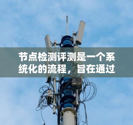 节点检测评测是一个系统化的流程，旨在通过自动化测试工具和工具链，评估节点的性能和资源使用情况。以下是对节点检测评测的详细介绍