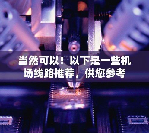 当然可以！以下是一些机场线路推荐，供您参考
