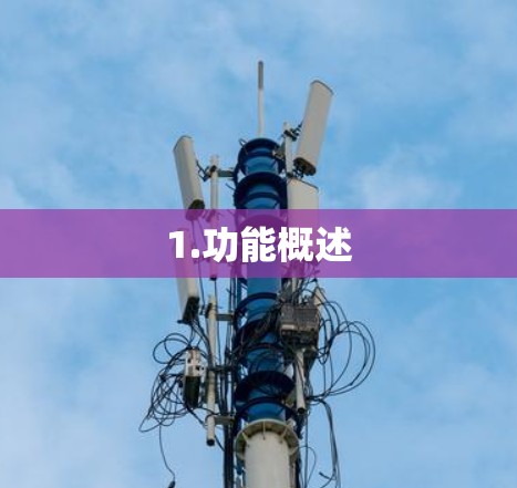 1.功能概述 1.功能概述