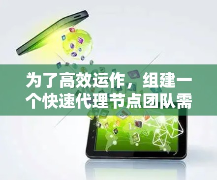 为了高效运作，组建一个快速代理节点团队需要综合考虑结构、培训、纪律、激励、资源、未来发展和沟通等多个方面。以下是一个详细的解决方案
