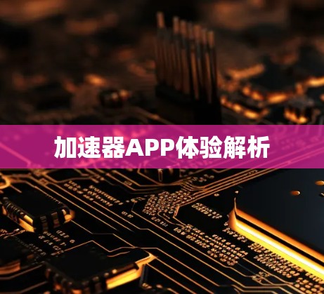 加速器APP体验解析